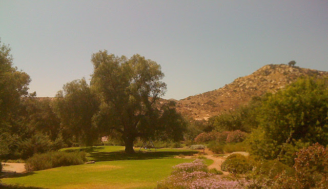 the hills west of the ranch