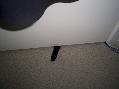 Who said you could close that door? Huh?!