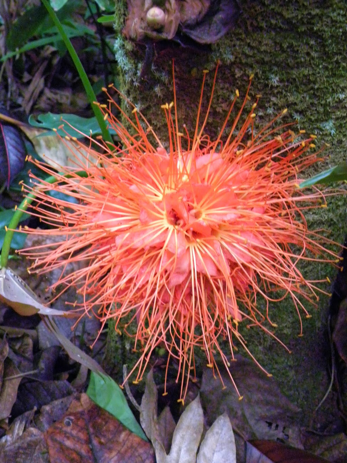 [DSCN1507.JPG]