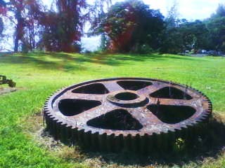 [walk+10.jpg]