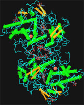 Myeloperoxidase Crystal Structure