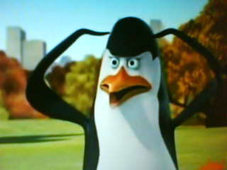 kowalski penguin