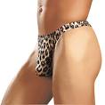 [tanga+leopard.jpeg]