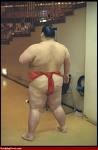 [sumo+tanga.jpeg]