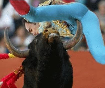 TORERO.bmp