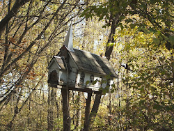 OLD BIRD HOUSE IN WOODS