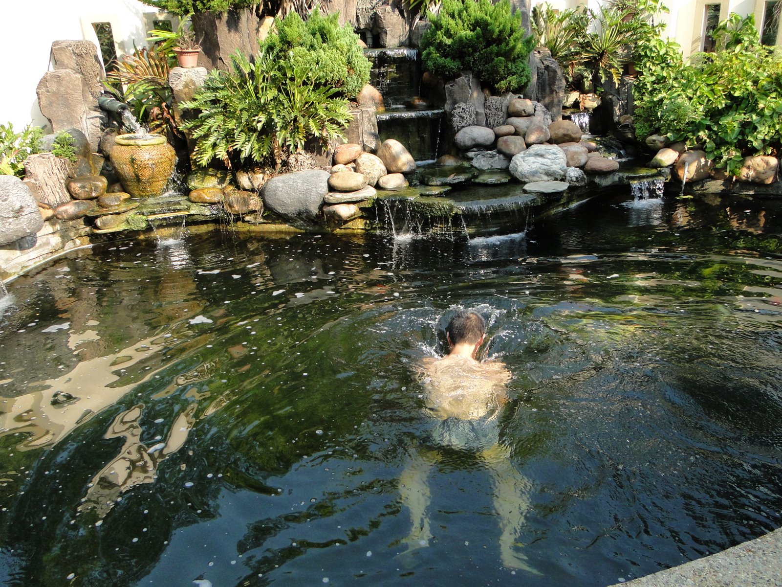[DSC00255.JPG]