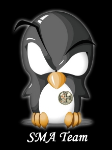Pingouin+Ecusson+Ultrapassions+2.jpg