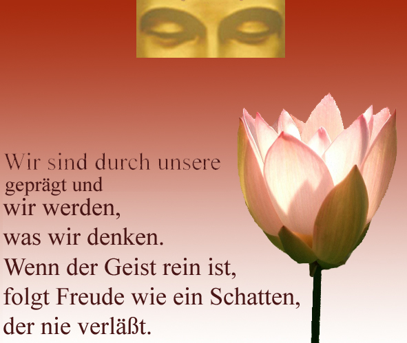 Download Zitate gedanken For Android Free Zitate Gedanken