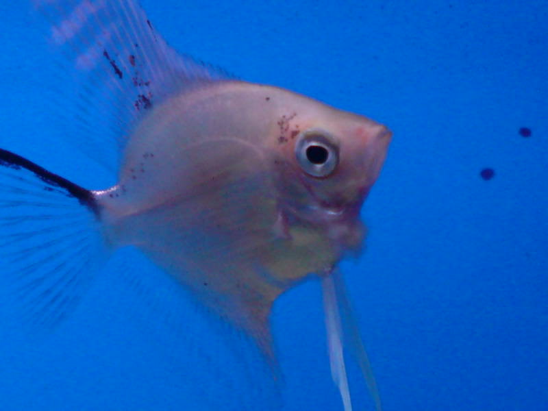 [image-upload-544-710585.jpg]