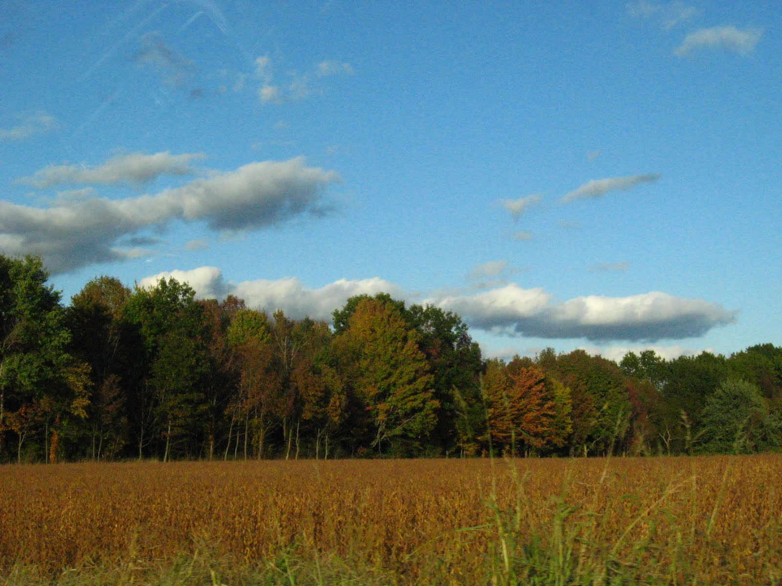 [20091011_999_23.JPG]