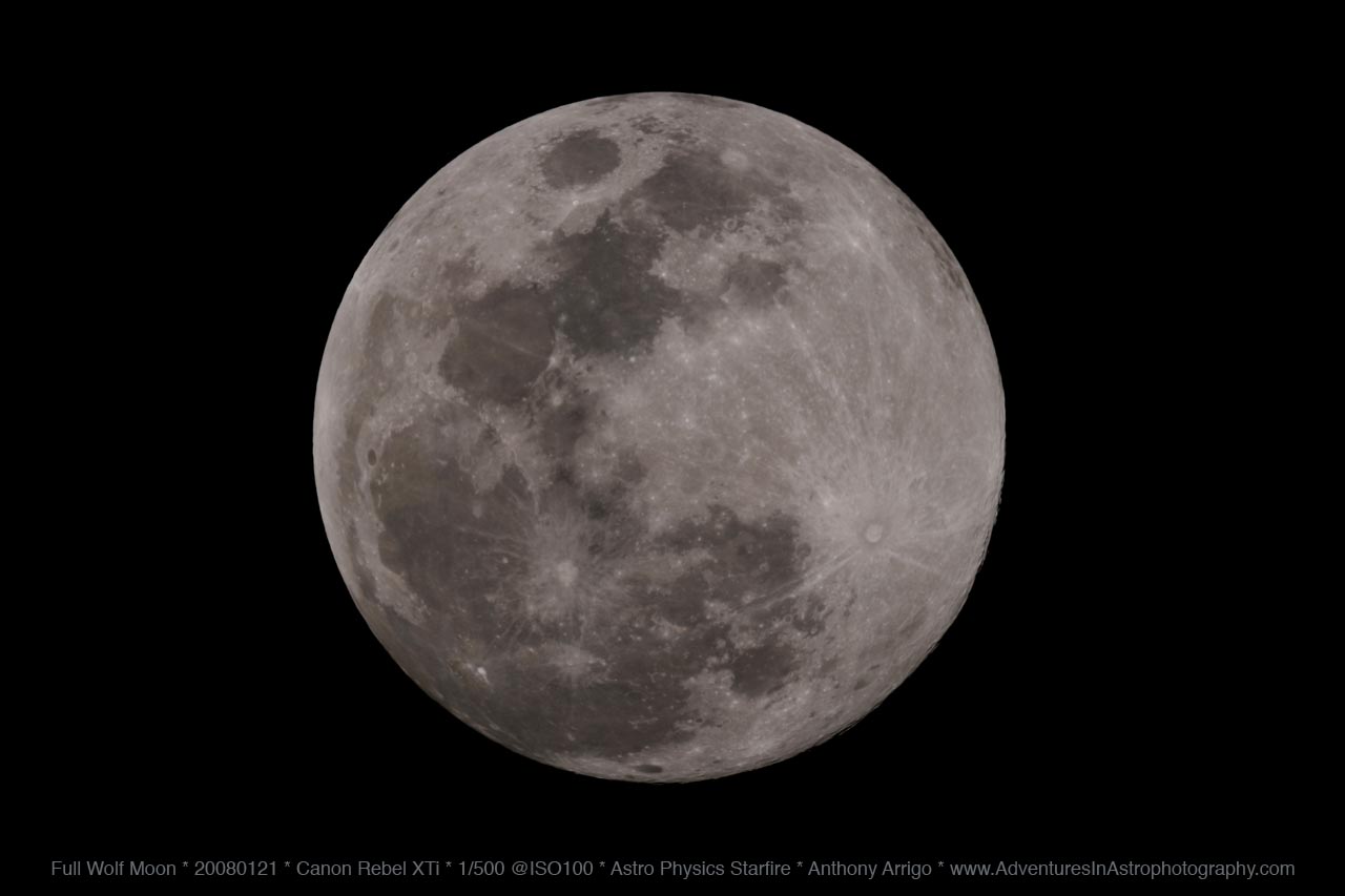 [wolf+moon.jpg]