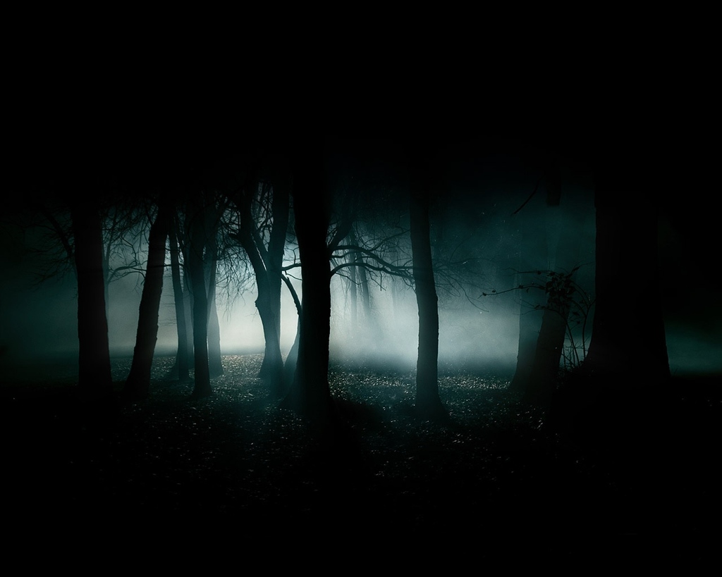 Dense Dark Forest
