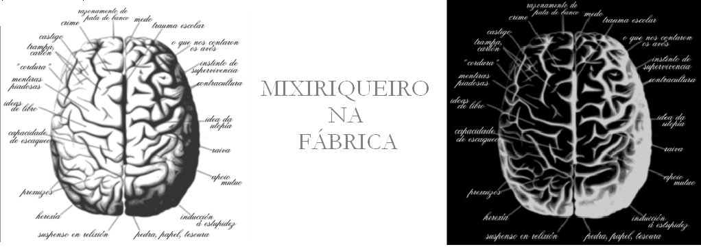 MIXIRIQUEIRO NA FABRICA