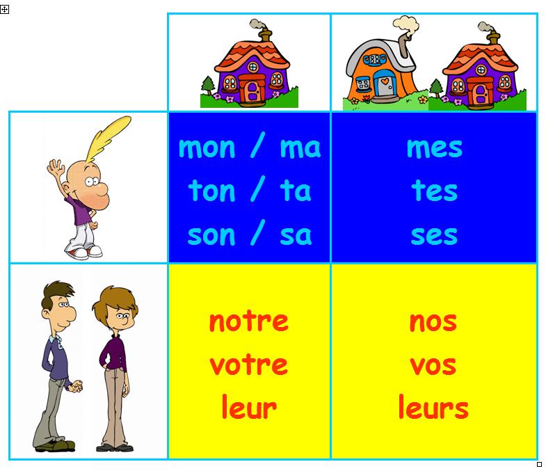 Découvrir le français Les possessifs