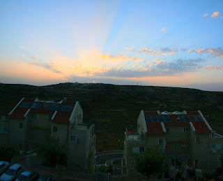 ephrat livni