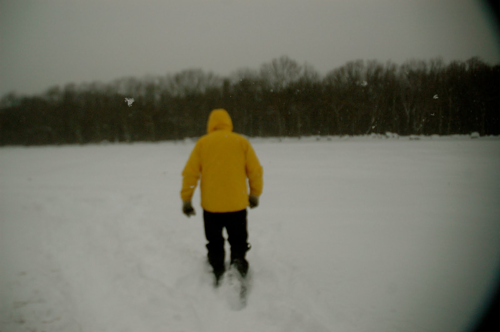 [DSC_4062.JPG]