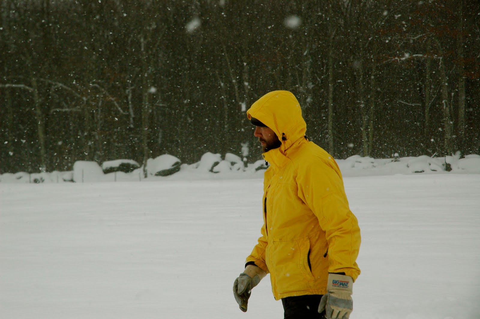 [DSC_4068.JPG]