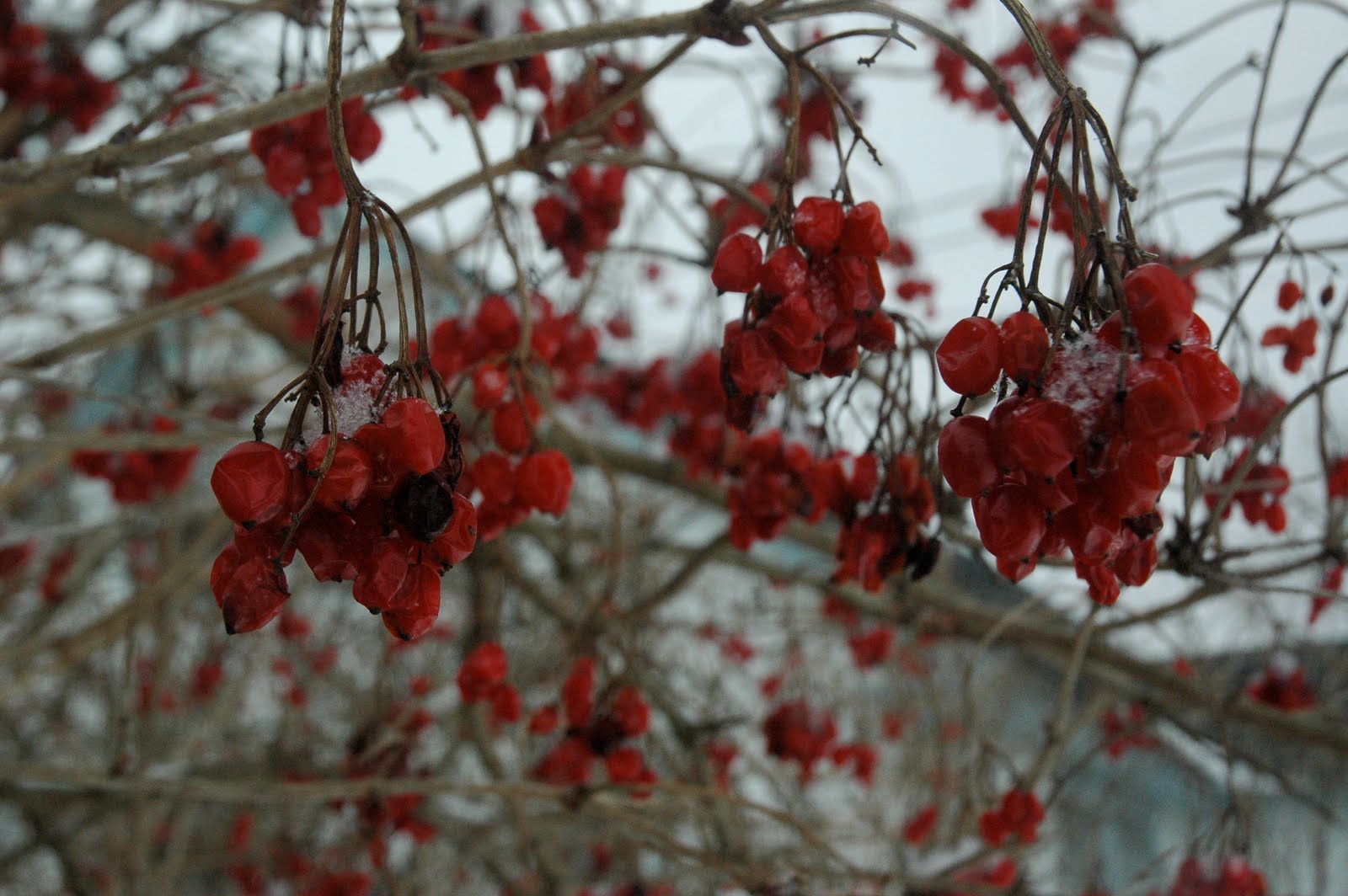 [DSC_4605.JPG]