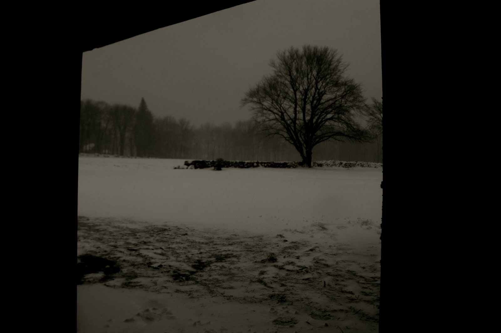[DSC_5848_2.JPG]