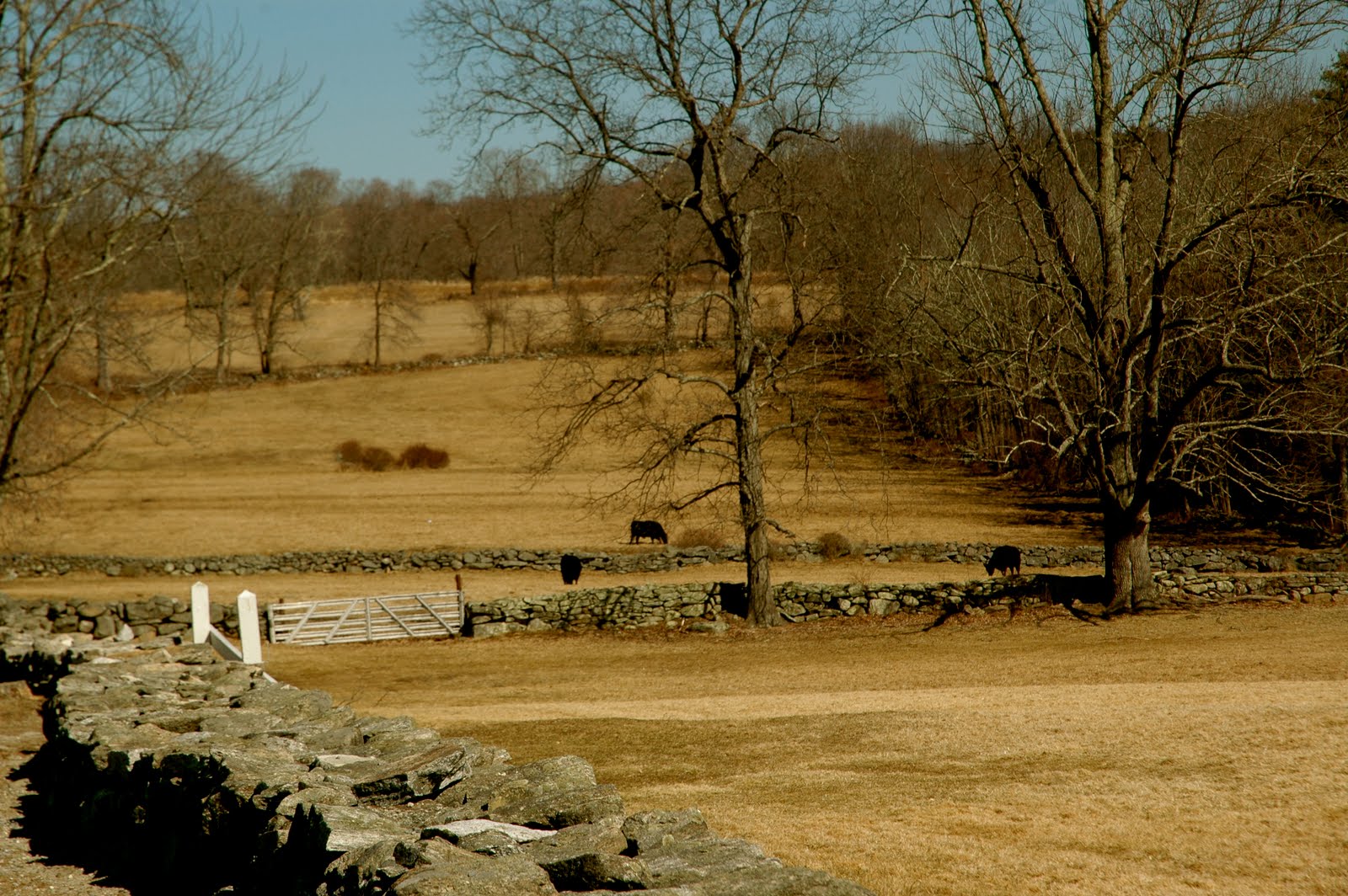 [DSC_6732.JPG]