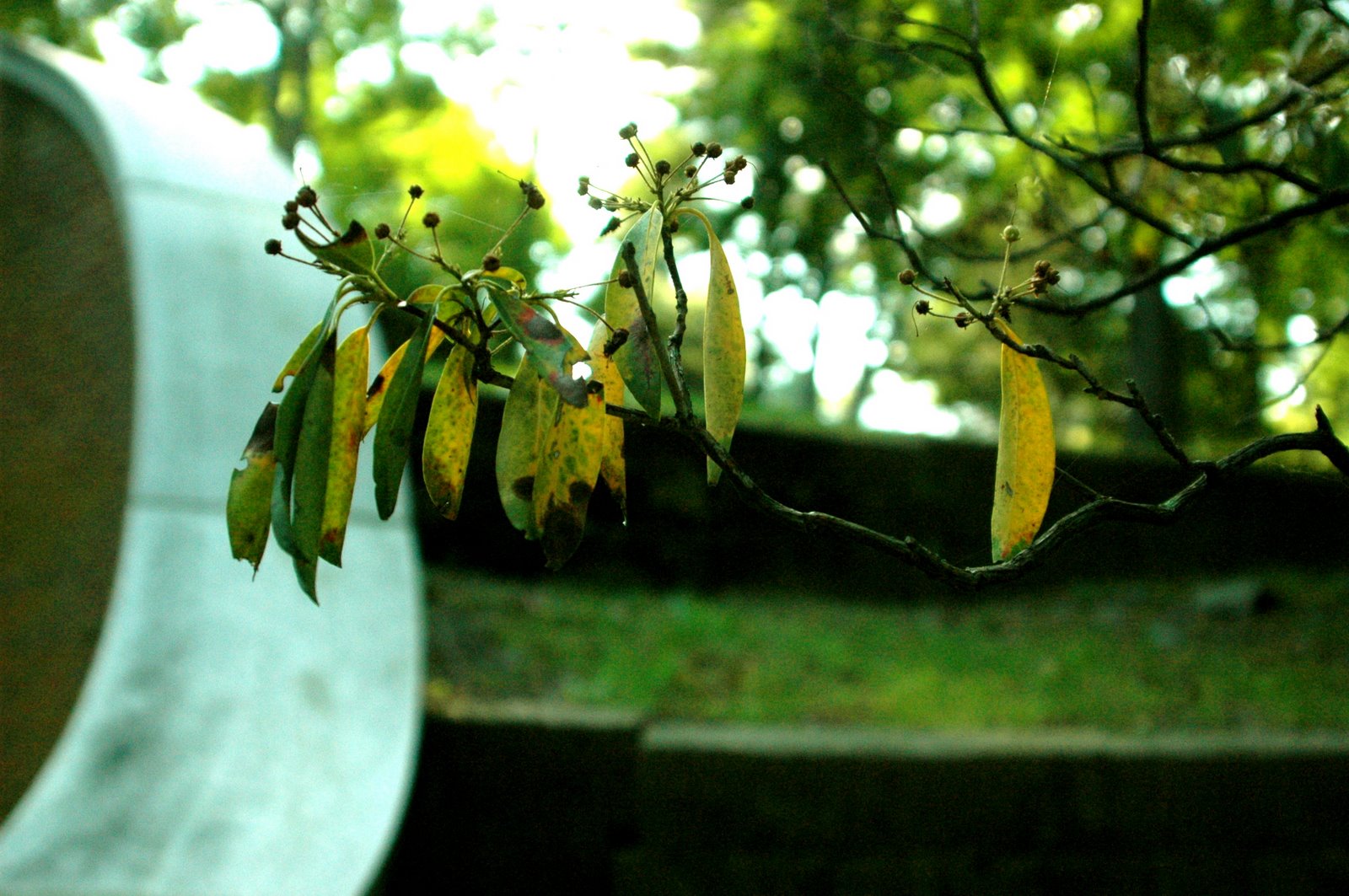 [DSC_6434.JPG]