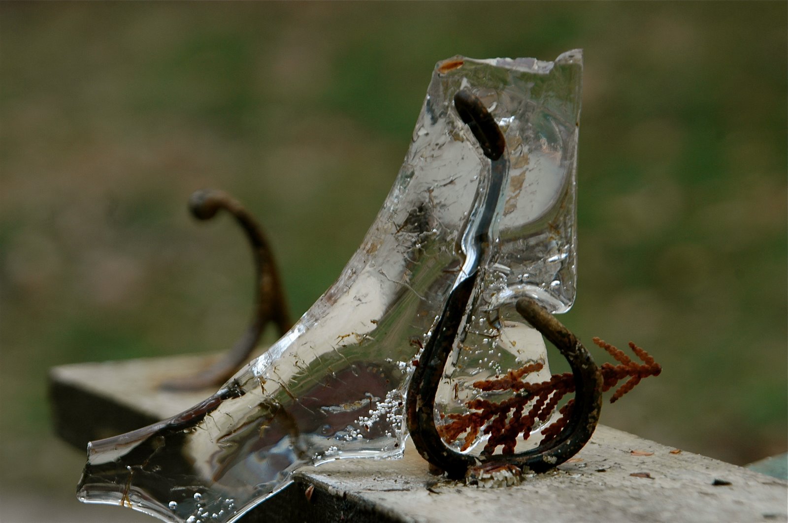 [DSC_2767.JPG]