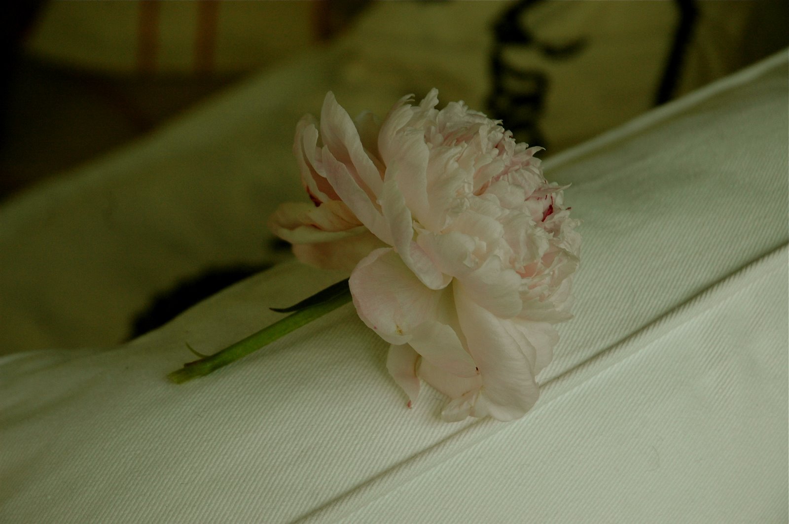 [DSC_5939.JPG]