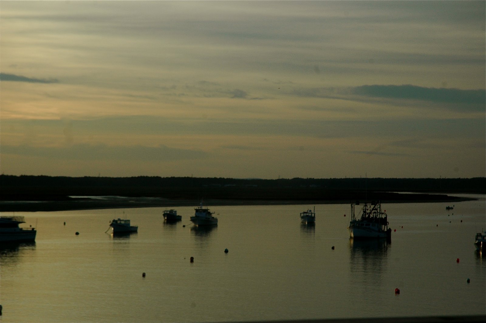 [DSC_0323.JPG]