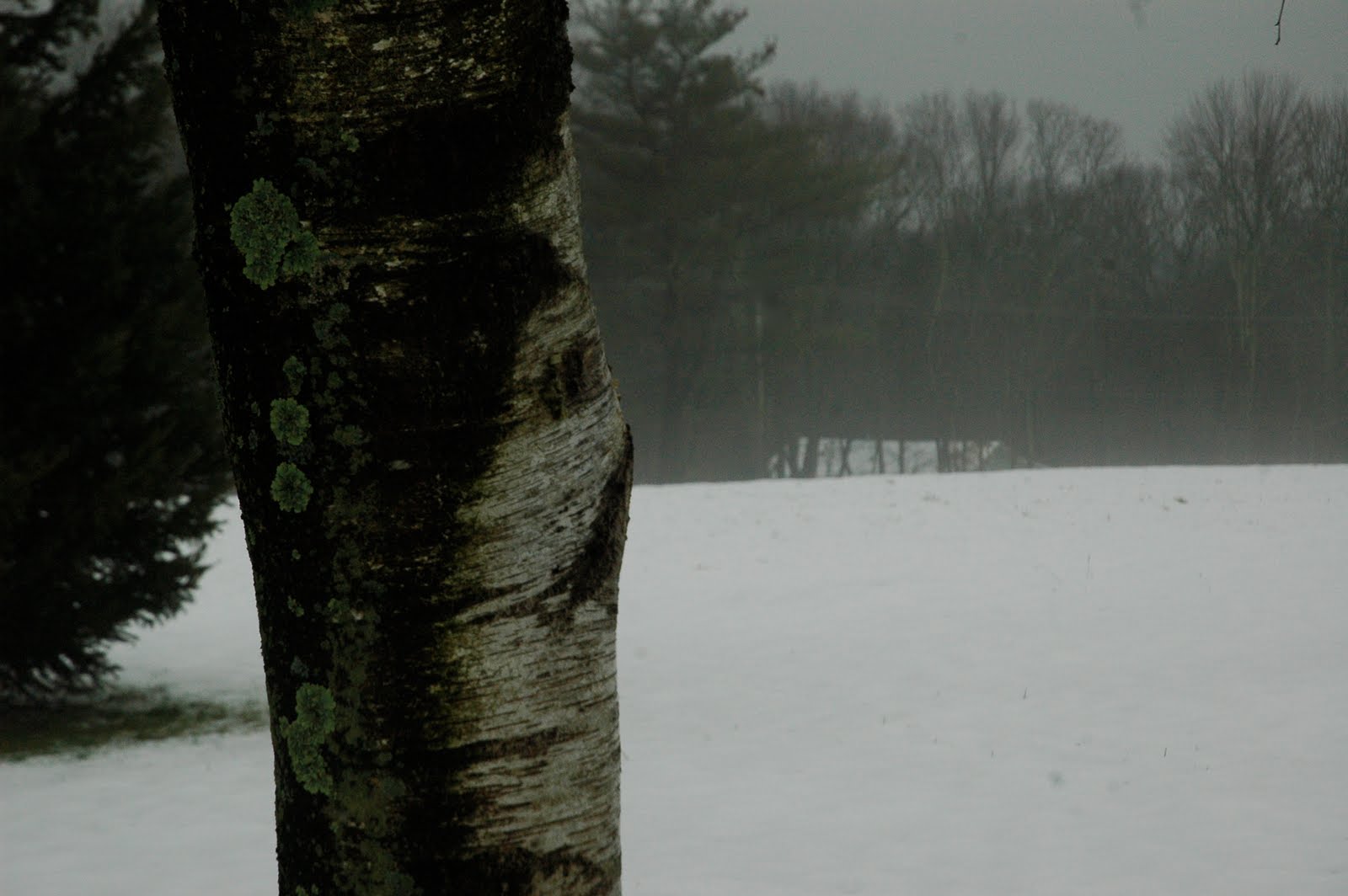 [DSC_3863.JPG]