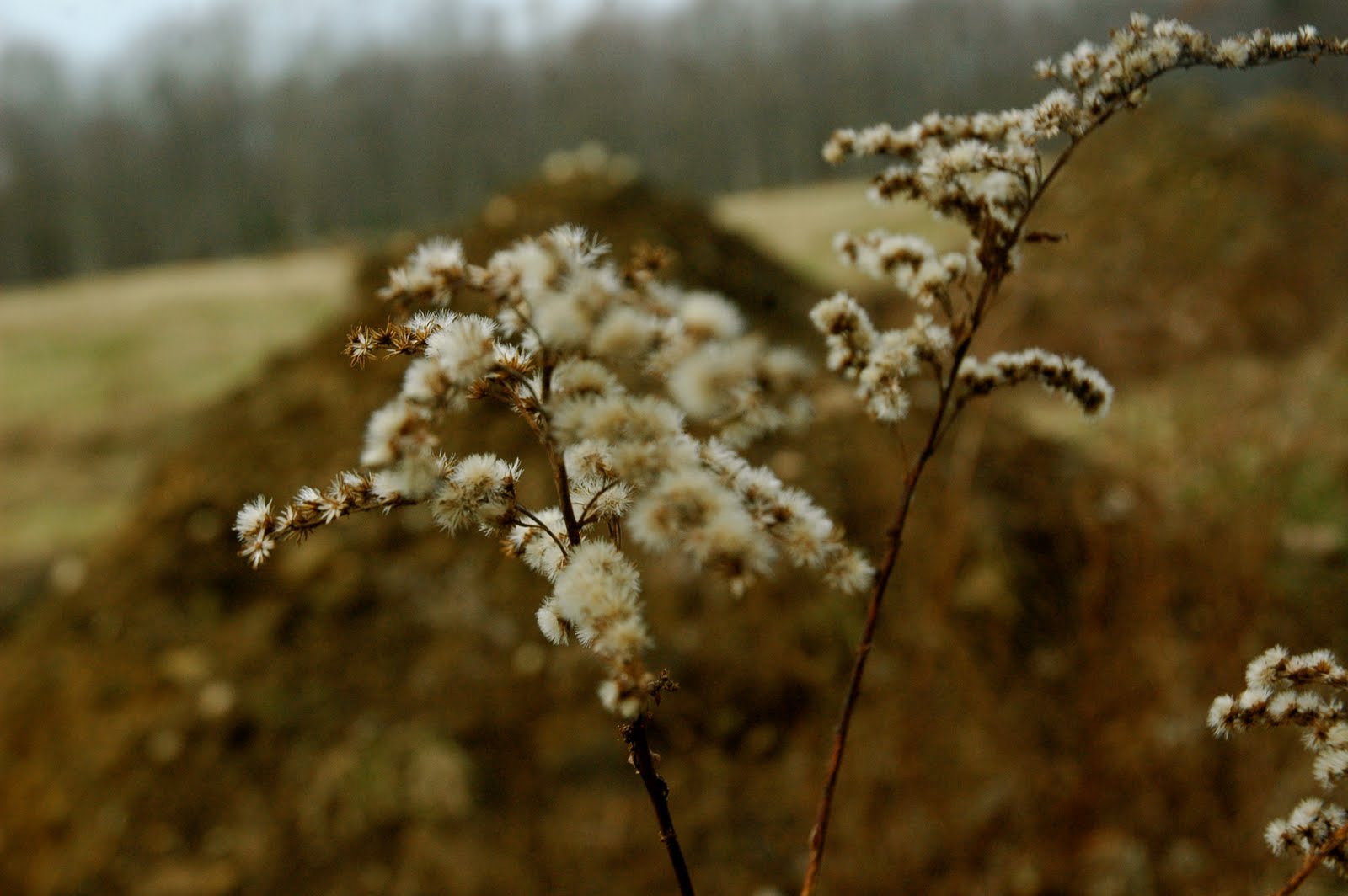 [DSC_3941.JPG]