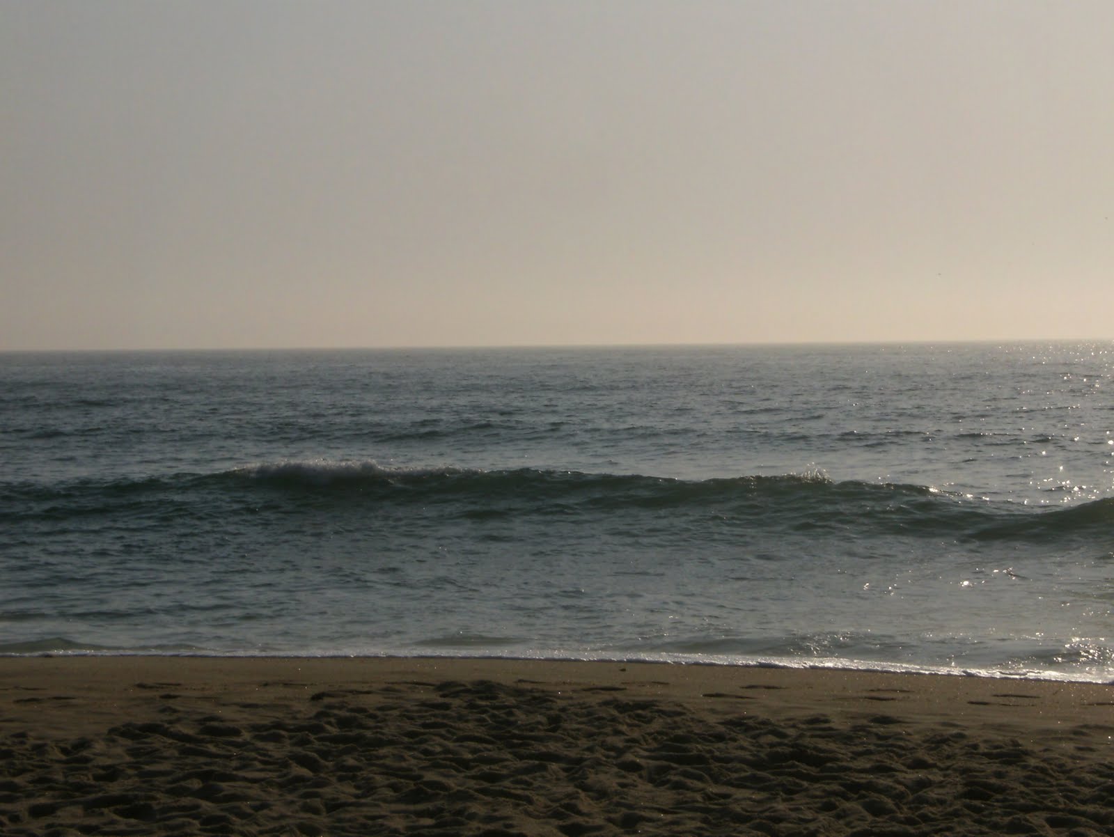 [Praia+da+Tocha-+Agosto+2009+041.jpg]