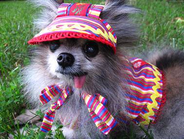 [SafeRedirect20.jpg]