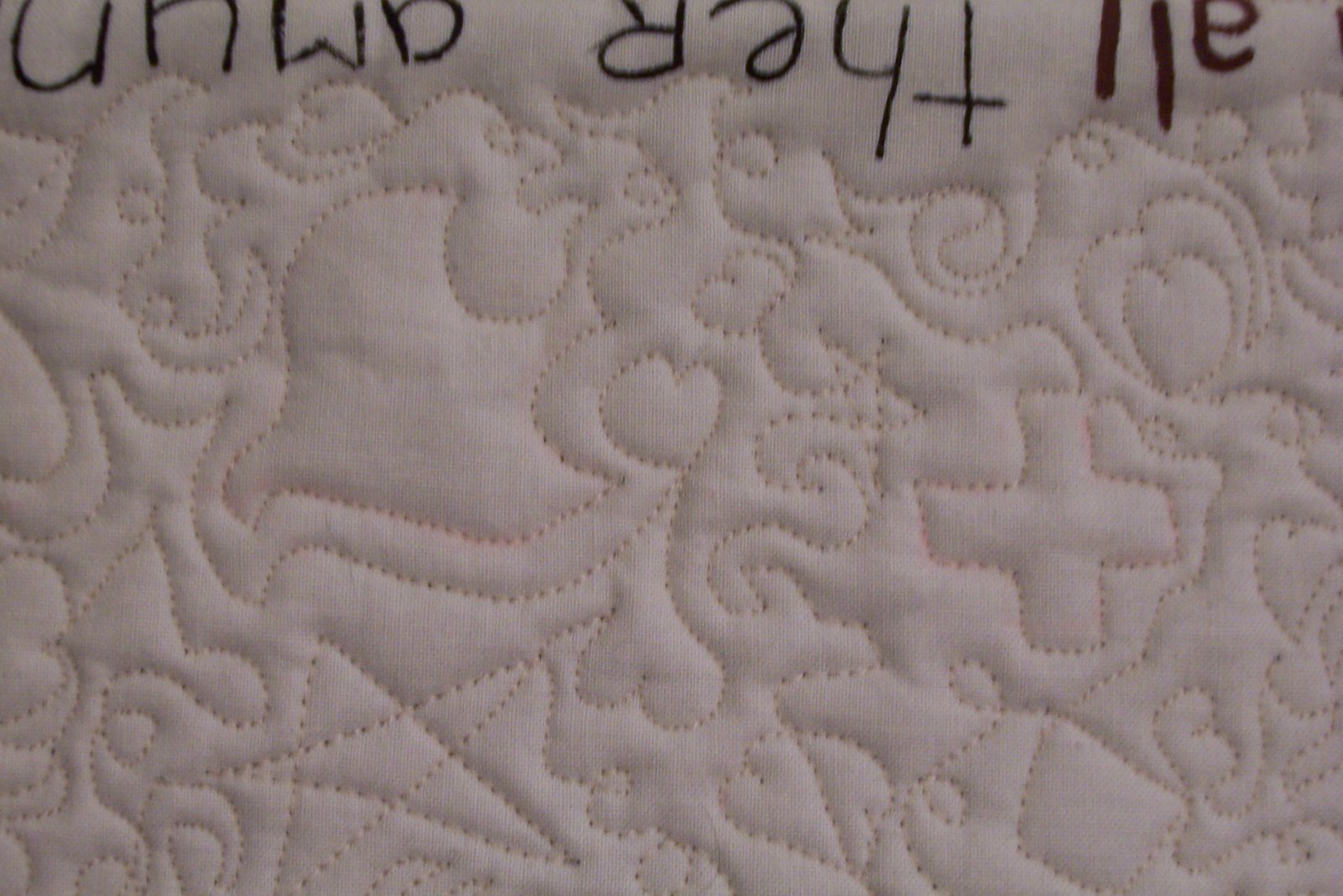 [ac.+Jack+and+Jill+03+quilting+detail.jpg]