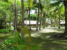 Fiji - from our front porch