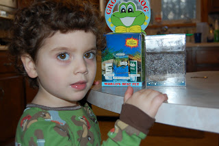 Grow A Frog