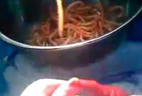 lombrices intestinales