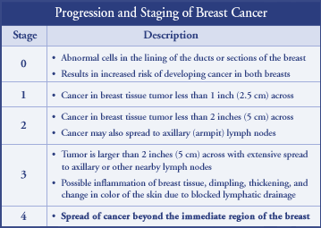 Breast Cancer Tumor Staging Chart