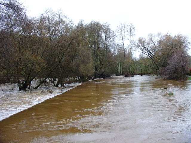 [DSC04624.JPG]