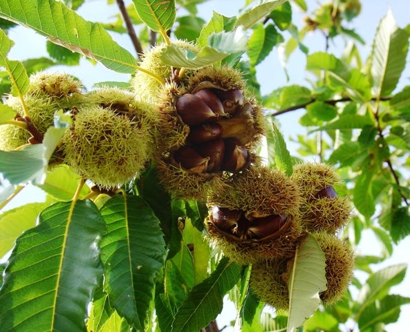 [DSC04378.JPG]