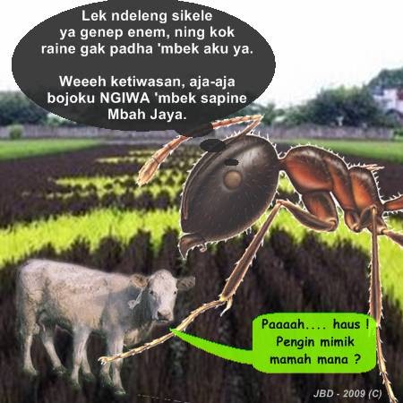 Komik Sak Enake Udele Dhewe Tv3 Semut Rada Ireng Anak Anak Sapi