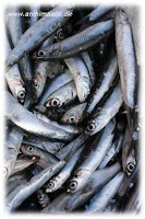 Anchovy.jpg