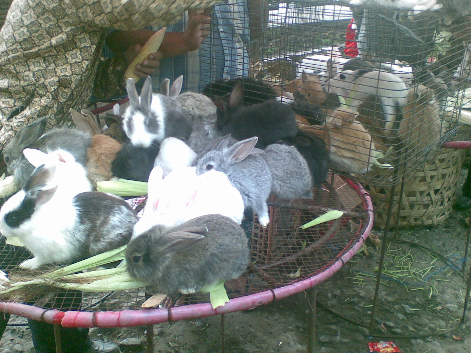 [Foto019.jpg]