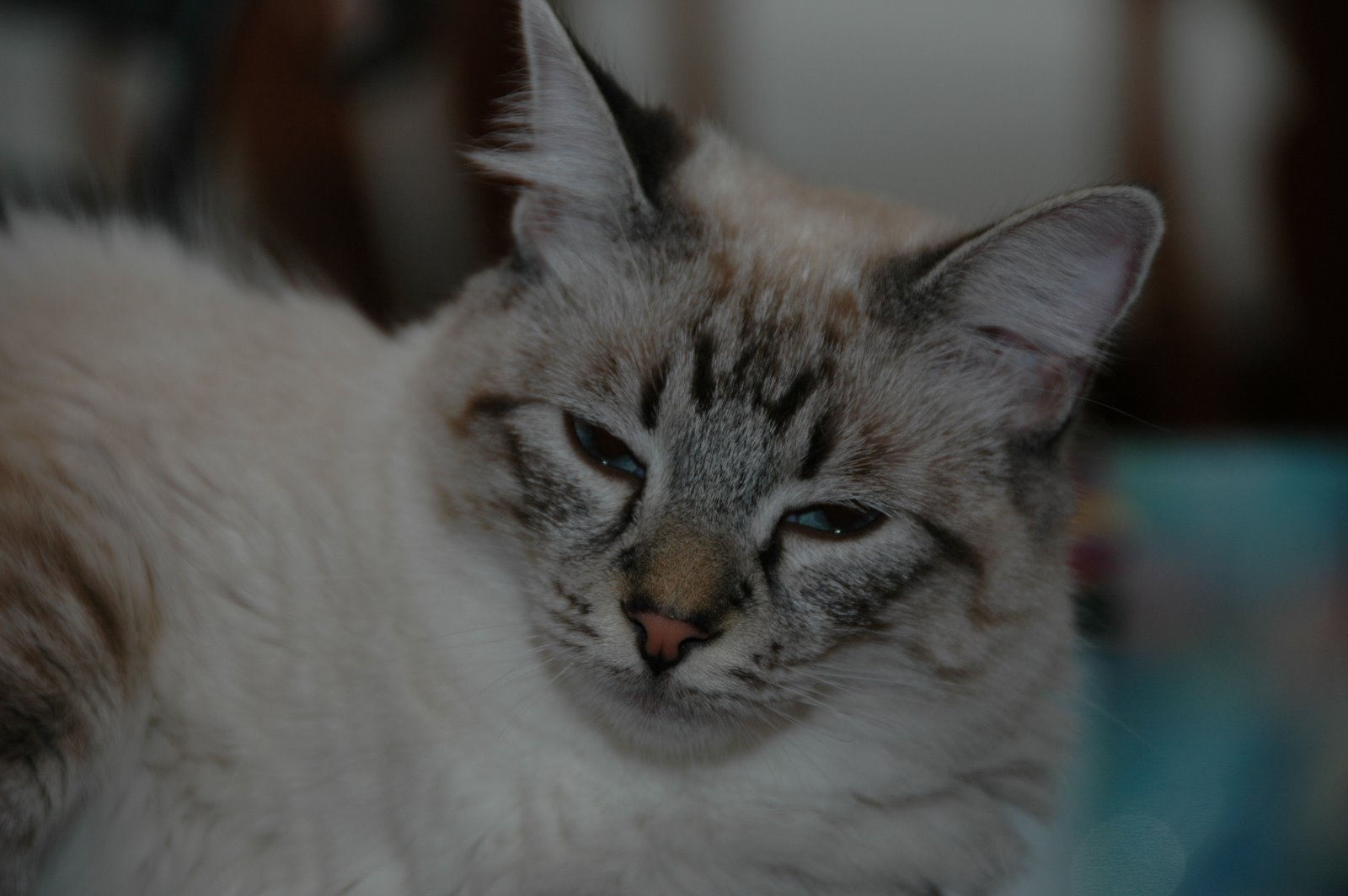 [DSC_0018.JPG]
