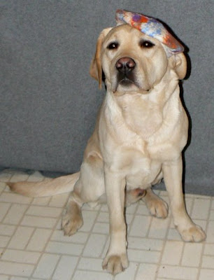 Thomas in his hat.