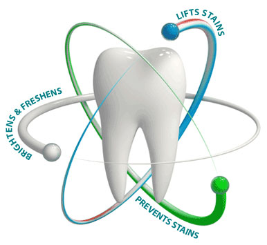 tooth_diagram_02.jpg