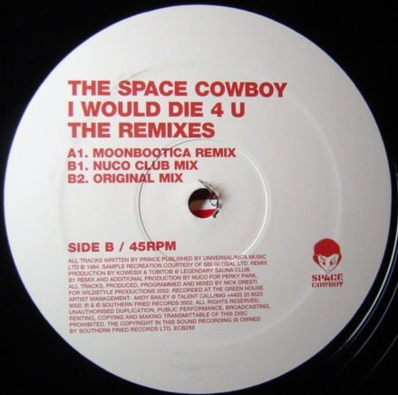 [I+Would+Die+4+U+(The+Remixes).jpeg]