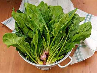 Зеленчуци, който не яде... Spinach-спанак
