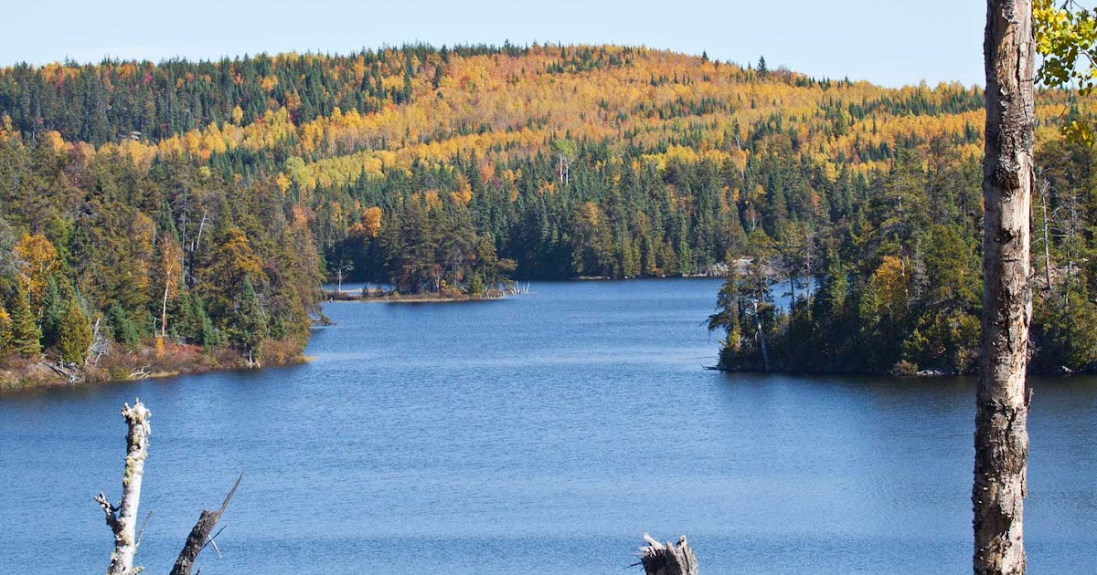 Gowganda Views Duncan Lake fall colours