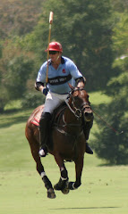 BACK CREEK QUALITY POLO EQUIPMENT AND GIFTWARE